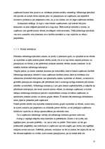 Referāts 'Apkalpošana lielveikalos kā tēlu veidošanas instruments', 10.