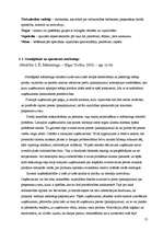 Referāts 'Apkalpošana lielveikalos kā tēlu veidošanas instruments', 13.