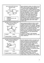 Referāts 'Apkalpošana lielveikalos kā tēlu veidošanas instruments', 21.