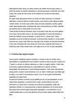 Referāts 'Apkalpošana lielveikalos kā tēlu veidošanas instruments', 24.