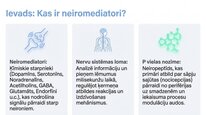 Prezentācija 'P viela kā neiromediators un neiropeptīds', 2.