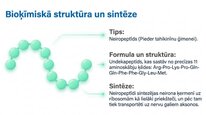 Prezentācija 'P viela kā neiromediators un neiropeptīds', 4.