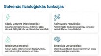 Prezentācija 'P viela kā neiromediators un neiropeptīds', 6.