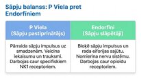 Prezentācija 'P viela kā neiromediators un neiropeptīds', 12.