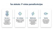 Prezentācija 'P viela kā neiromediators un neiropeptīds', 13.