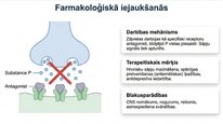 Prezentācija 'P viela kā neiromediators un neiropeptīds', 16.