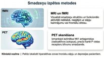 Prezentācija 'P viela kā neiromediators un neiropeptīds', 19.