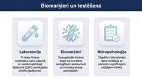 Prezentācija 'P viela kā neiromediators un neiropeptīds', 20.