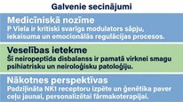 Prezentācija 'P viela kā neiromediators un neiropeptīds', 24.