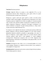 Referāts 'Sieviešu seksuāli transmisīvās slimības', 13.