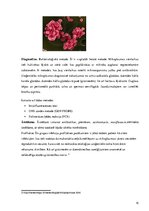 Referāts 'Sieviešu seksuāli transmisīvās slimības', 15.