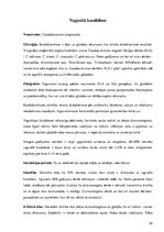 Referāts 'Sieviešu seksuāli transmisīvās slimības', 20.