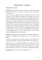 Referāts 'Sieviešu seksuāli transmisīvās slimības', 24.