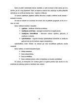 Biznesa plāns 'Zemnieku saimniecība "Ražīgums"', 19.