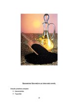 Biznesa plāns 'Zemnieku saimniecība "Ražīgums"', 29.