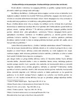 Eseja 'Drošības definīcija un tās pamatojums. Drošības definīcijas priekšrocības un trū', 1.