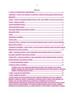 Prakses atskaite 'Klientu skaita palielināšanas iespējas uzņēmumā SIA "Ritms - Ž"', 2.