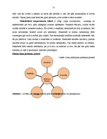 Prakses atskaite 'Klientu skaita palielināšanas iespējas uzņēmumā SIA "Ritms - Ž"', 10.