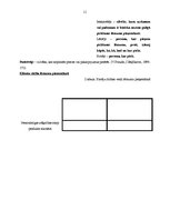 Prakses atskaite 'Klientu skaita palielināšanas iespējas uzņēmumā SIA "Ritms - Ž"', 11.