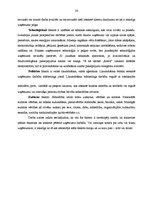 Prakses atskaite 'Klientu skaita palielināšanas iespējas uzņēmumā SIA "Ritms - Ž"', 26.