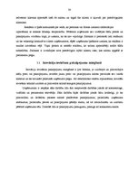 Prakses atskaite 'Klientu skaita palielināšanas iespējas uzņēmumā SIA "Ritms - Ž"', 30.