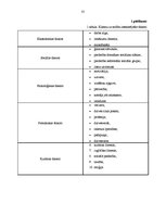 Prakses atskaite 'Klientu skaita palielināšanas iespējas uzņēmumā SIA "Ritms - Ž"', 35.