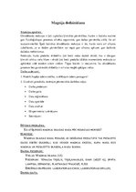 Konspekts 'Magnija dedzināšana', 1.