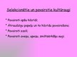 Prezentācija 'Latvijas Valsts mežzinātnes institūts "Silava"', 6.