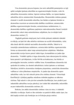 Eseja 'Ekonomika kā sociālās mijiedarbības forma', 4.