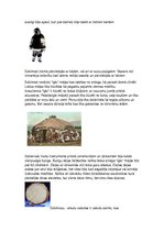 Konspekts 'Eskimosi', 2.