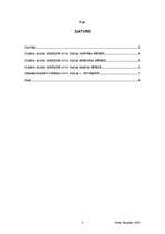 Referāts 'Ekonomiskie aprēķini datortehnoloģiju kursā', 3.