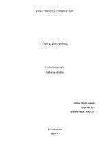 Paraugs 'Civilā aizsardzba. Laboratorijas darbs', 1.
