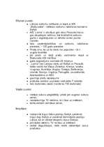 Konspekts 'AS "Laima" SVID analīze', 2.