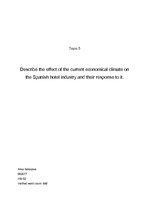 Konspekts 'Describe the Effect of the Current Economical Climate on the Spanish Hotel Indus', 1.