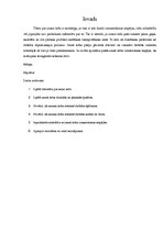 Konspekts 'Sausais ledus', 1.