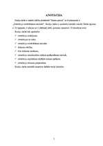 Referāts 'Investīciju novērtēšanas metodes', 2.