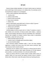 Referāts 'Investīciju novērtēšanas metodes', 4.