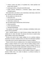 Referāts 'Investīciju novērtēšanas metodes', 9.