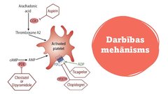 Prezentācija 'Antiagreganti', 5.