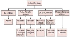 Prezentācija 'Antiagreganti', 6.