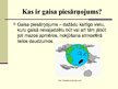 Prezentācija 'Gaisa piesārņojums', 5.