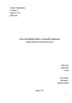 Referāts 'Dzēriena "Coca-cola" kaitīgā ietekme uz jauniešu organismu', 1.