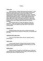 Konspekts 'Stafete', 1.