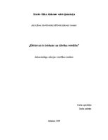 Referāts 'Diētas un to ietekme uz organismu', 1.