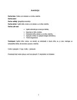 Referāts 'Diētas un to ietekme uz organismu', 2.