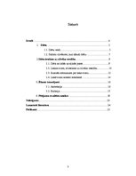 Referāts 'Diētas un to ietekme uz organismu', 3.