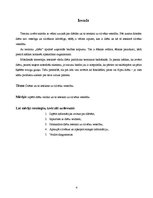 Referāts 'Diētas un to ietekme uz organismu', 4.