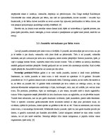 Referāts 'Diētas un to ietekme uz organismu', 12.