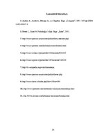 Referāts 'Diētas un to ietekme uz organismu', 24.