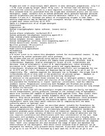 Eseja 'Enzymes for Detergent Industry', 3.